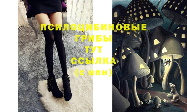 jwh Новозыбков