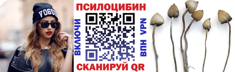 Псилоцибиновые грибы мухоморы  купить наркотик  Пудож 
